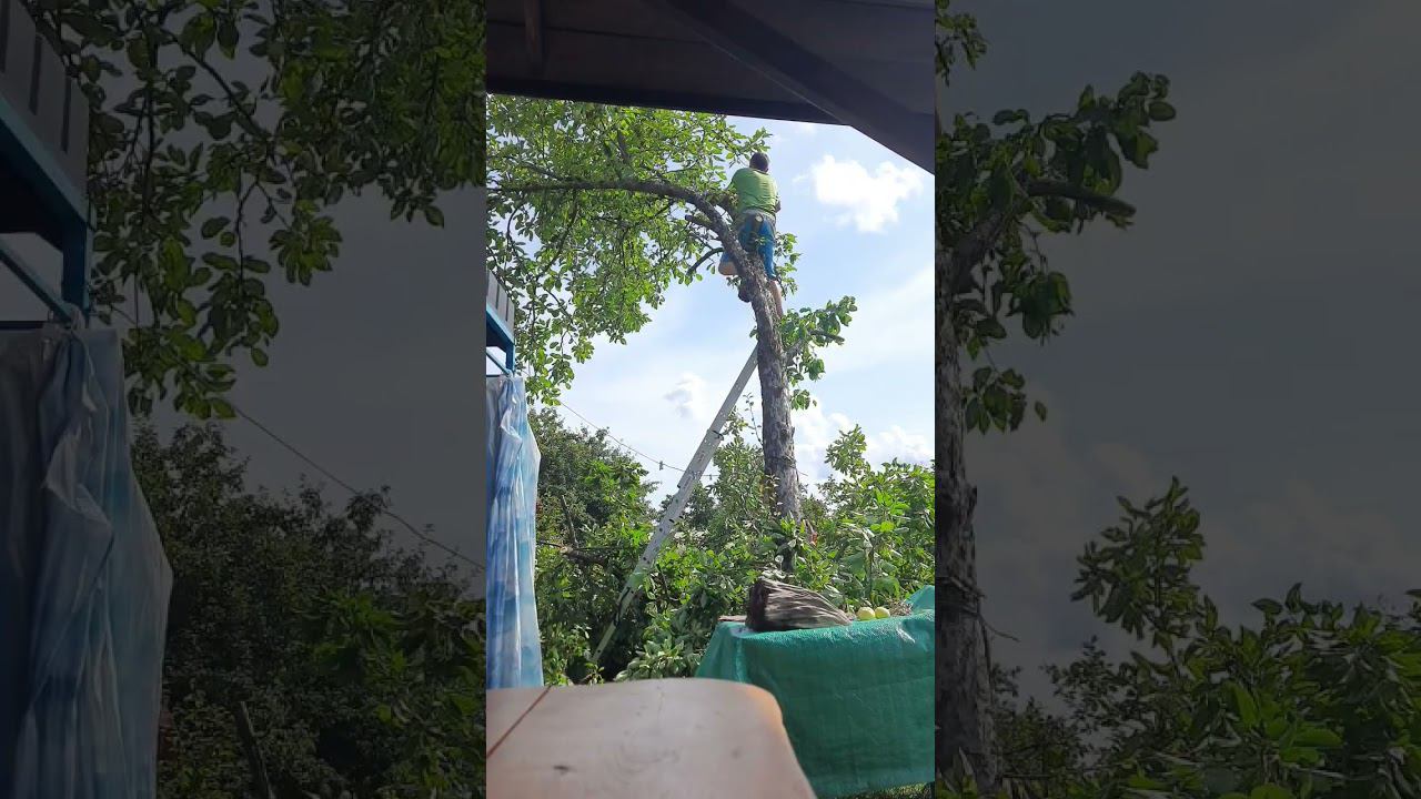 Спил дерева на участке частями, Не повторять