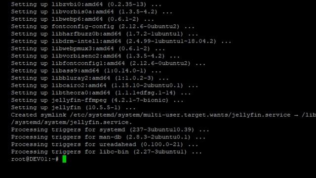 Installing JellyFin on Ubuntu 18.04 Server смотреть онлайн