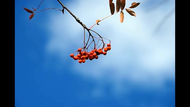 Julian Lloyd Webber - Caccini - Ave Maria (Cello) смотреть онлайн