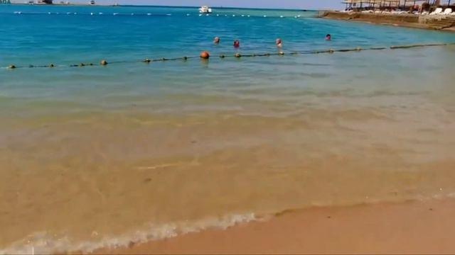 فندق صني دايز بالما دي ميريت Sunny Days Palma Hurghada والأسعار من موقع بوكينج смотреть онлайн