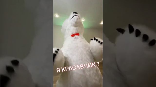 ?Магический танец белого мишки - добро пожаловать в TikTok-фиесту!? смотреть онлайн
