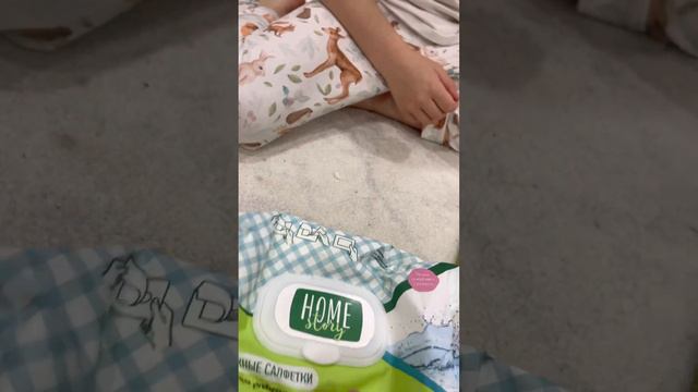Вещи моей собаки