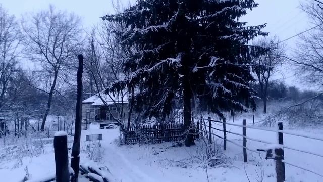 Зимний вечер//Каких коров отправляем в запуск. смотреть онлайн