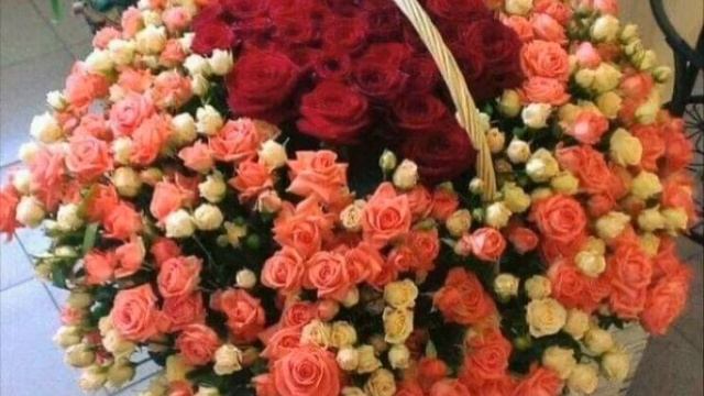 С Днем рождения,Камилла! смотреть онлайн