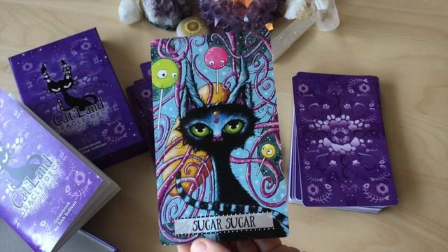 Cat Land Oracle Deck Unboxing and First Impressions смотреть онлайн