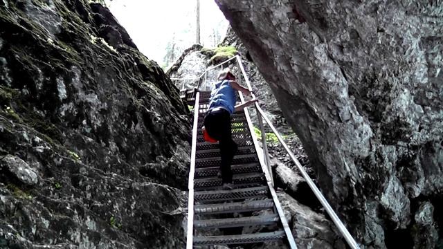 Природный парк "Оленьи ручьи" лето 2011 года. смотреть онлайн