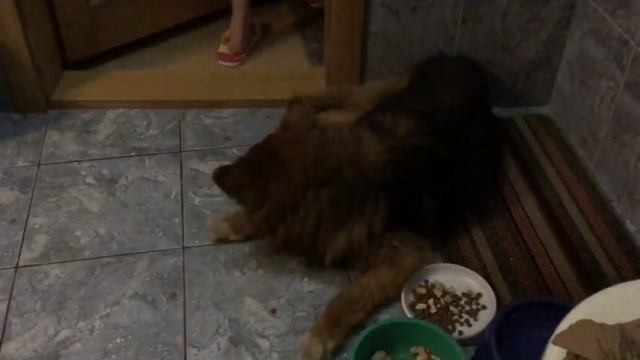 Камера наблюдения за Рыиком смотреть онлайн