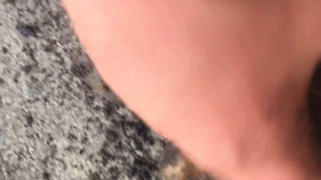 Винтовые стойки КХ Ростов смотреть онлайн