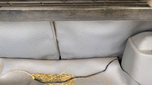 Saving a Blue Toyota Starlet | First Look | Dog Hair, Dirt and Spiders смотреть онлайн