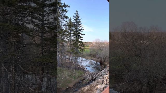 Река Мидл Ривер в Канаде, провинция Новая Шотландия смотреть онлайн