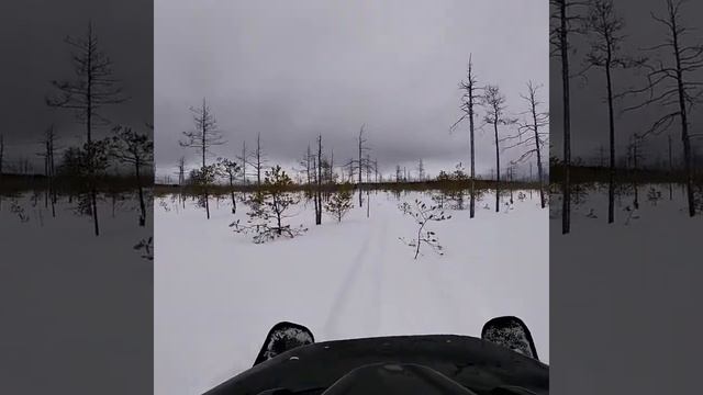 Едем на рыбалку, ищем избу на реке Толочь смотреть онлайн