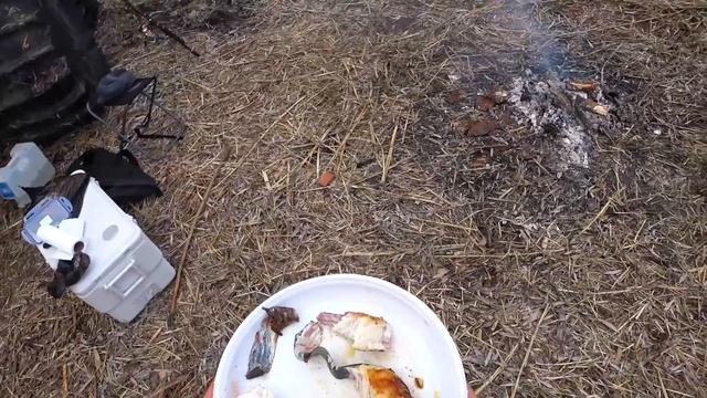 За рыбой в Астрахань! Жарим сома! Готовимся на летнего сазана! смотреть онлайн