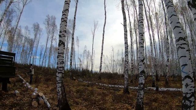 На ГАЗ-66 в лес за дровами / Что проще: заплатить за готовые дрова или заготовить их самому? смотреть онлайн