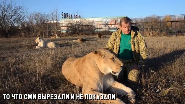 Парк Львов Тайган ХОТЯТ ЗАКРЫТЬ. Ложь СМИ ! смотреть онлайн