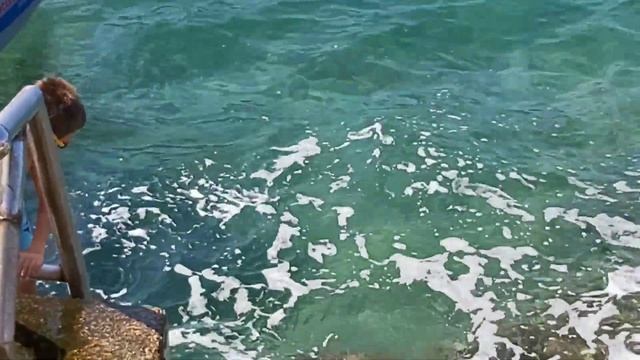 Черногория 2020. Август. Переехали в Сутоморе. смотреть онлайн