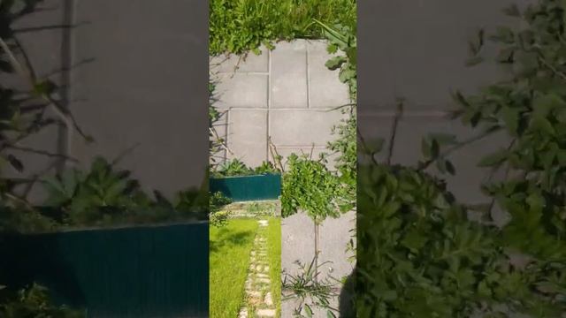 ✅#муравьи‼️Следующий день‼️Великий воин в гранулах смотреть онлайн