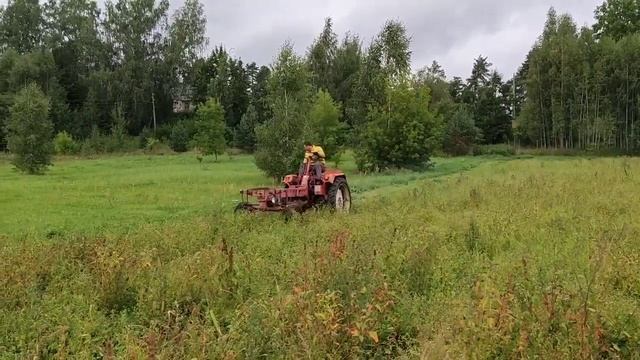 VEB Traktorenwerk Schonebeck Rs09 GT124 1968