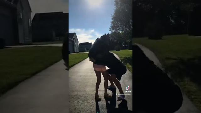 How to kidnap any dumb kid смотреть онлайн