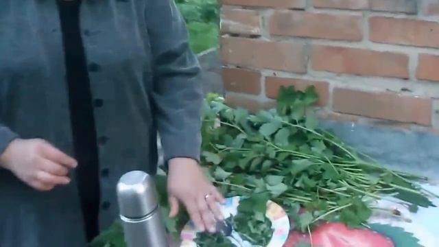 Чистотел убивает раковые клетки! смотреть онлайн