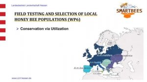 Как влияет приспособление пчел к местным условиям на селекцию? (Ральф Бюхлер, лекция 2)