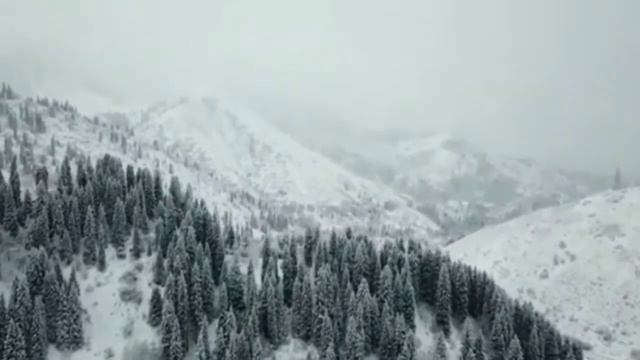 Вечер поэзии студентов колледжа при КазГАСА смотреть онлайн