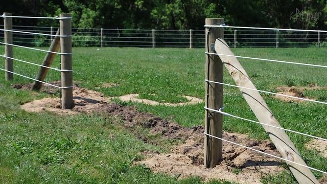 КУПИЛ ЖЕНУ И ПОСАДИЛ В ПОДВАЛ ДОЧЬ: Как отец делал из девочки сверхчеловека смотреть онлайн