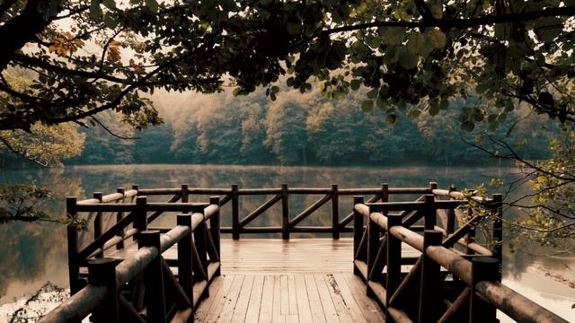 Mehdi - Falling Leaves смотреть онлайн
