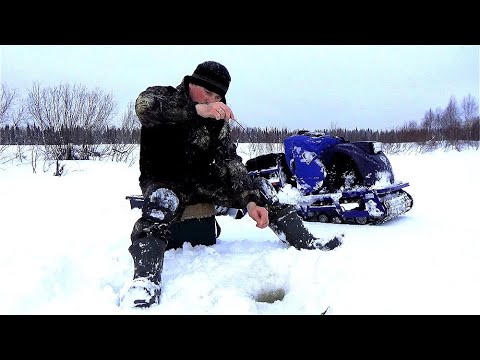 14 Рыбалка на щучьем озере. Оставил жерлицы без присмотра,а когда вернулся - удивился..mp4 смотреть онлайн