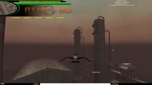 Обзор игры Летай как птица 3