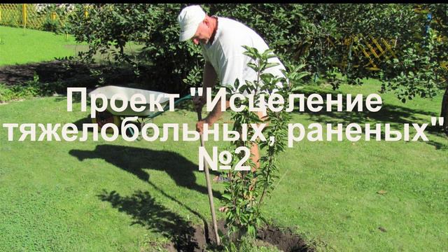 Проект Исцеление тяжелобольных, раненых № 2