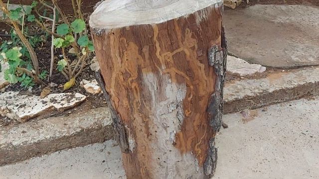 Зачем нужны эти брёвна ? #резьбаподереву #искусство #красота #арт #израиль #скульптура #woodcarvers смотреть онлайн