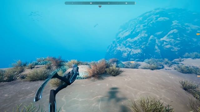 Beyond Blue First Look / Test - Official Gameplay Swimming with Dolphins 01 смотреть онлайн