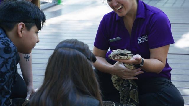 San Antonio Zoo Boo! смотреть онлайн
