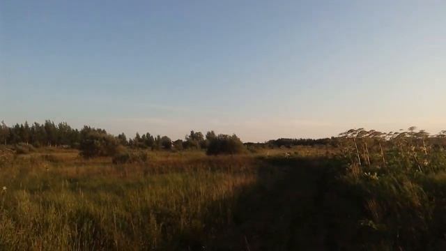 Свалка строительного мусора рядом с лесополосой/Подмосковье смотреть онлайн