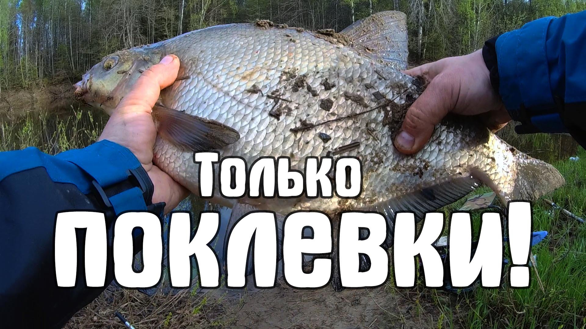 Лещ на фидер! Голавль на удочку.. Только поклевки!