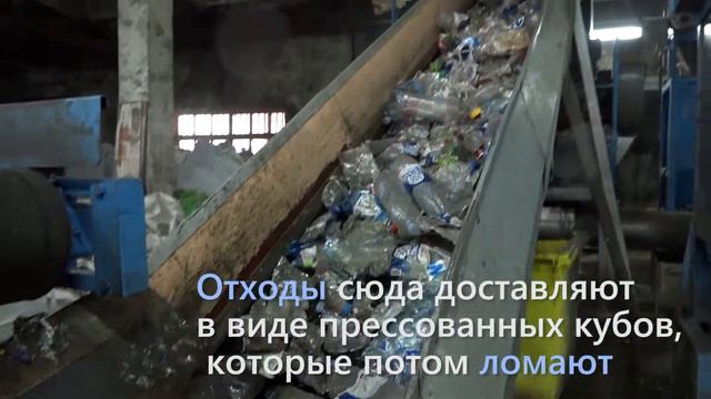 (II) Путь мусора: что с ним происходит после сортировки? смотреть онлайн