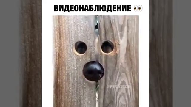 2017 04 21 20 39 54.mp4 смотреть онлайн