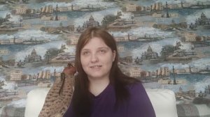 Где купить хищную птицу?