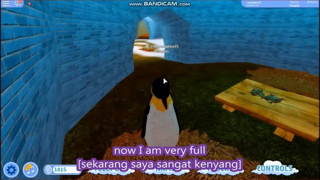 Feather Family PENGUIN Roblox | New Year Update Firework смотреть онлайн