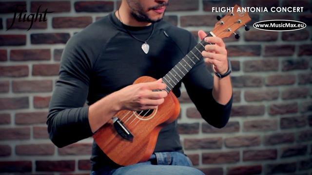 Flight Antonia Concerto Ukulele
