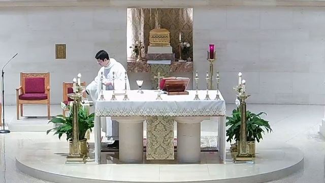 Daily Mass | Tuesday - Memorial of Saints Timothy and Titus, Bishops | 26 January 2021 смотреть онлайн