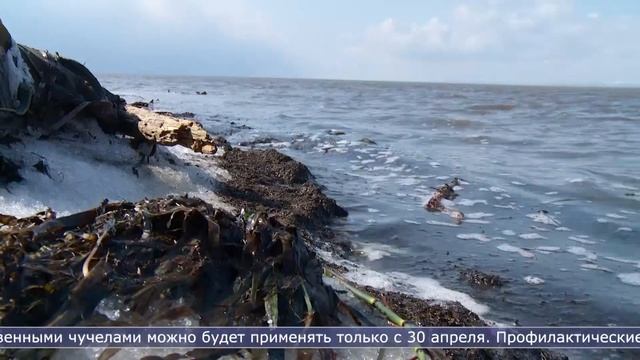 25.04.2022 Сахалин сегодня смотреть онлайн