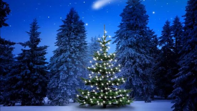 17 Dezember Frau Novak, Fritz der Kater und ein ganz besonderer Heiliger Abend смотреть онлайн