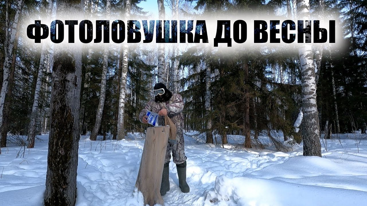 ПОЕЗДКА В ЛЕС НА СОЛОНЕЦ УСТАНОВИЛ ФОТОЛОВУШКУ ДО ВЕСНЫ смотреть онлайн