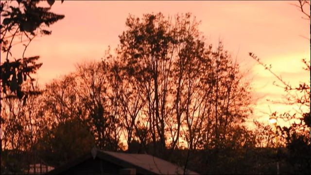 There's a New Moon Over My Shoulder - banjo ukulele смотреть онлайн