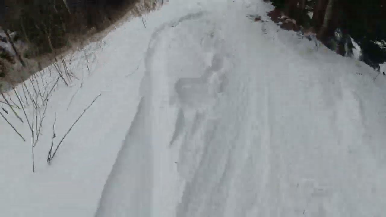 Архыз, февраль 2023: спуск по лесной тропе смотреть онлайн