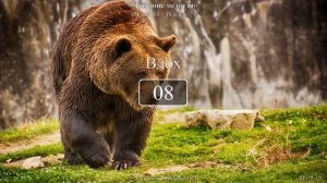 Дыхание медведя (14 секунд вдох - 2 секунды выдох).