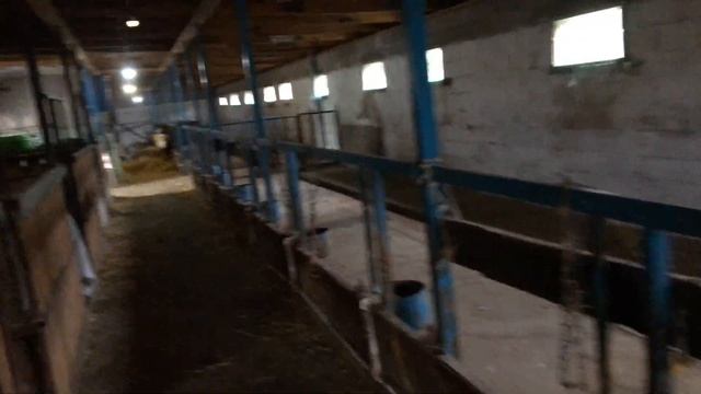 Продал быка форда смотреть онлайн