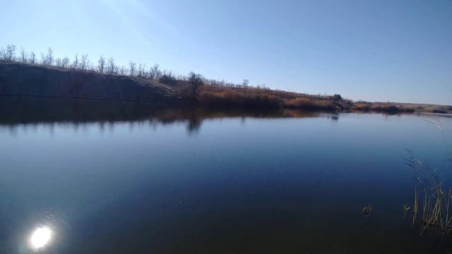 Осенняя рыбалка. Фазан зовёт курочку. смотреть онлайн