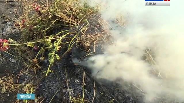 Сотрудники МЧС рассказали пензенцам, как обезопасить собственную жизнь смотреть онлайн